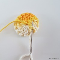 flor-caracol-bicuda-11