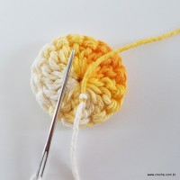flor-caracol-bicuda-12