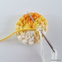 flor-caracol-bicuda-13