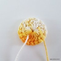 flor-caracol-bicuda-14