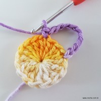 flor-caracol-bicuda-18