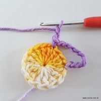 flor-caracol-bicuda-19