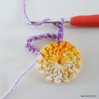 flor-caracol-bicuda-20