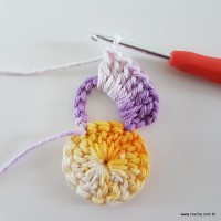 flor-caracol-bicuda-21