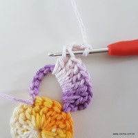 flor-caracol-bicuda-23