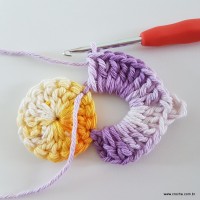 flor-caracol-bicuda-25