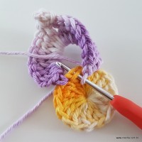 flor-caracol-bicuda-28