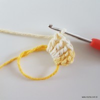 flor-caracol-bicuda-3