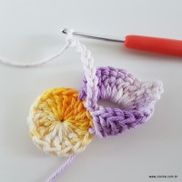 flor-caracol-bicuda-30