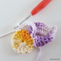 flor-caracol-bicuda-32