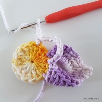 flor-caracol-bicuda-33