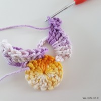 flor-caracol-bicuda-34