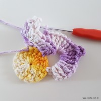 flor-caracol-bicuda-35