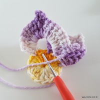 flor-caracol-bicuda-36