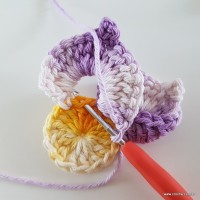 flor-caracol-bicuda-37