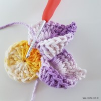 flor-caracol-bicuda-38