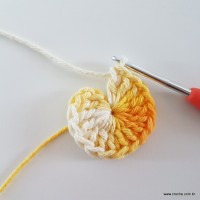 flor-caracol-bicuda-4