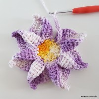 flor-caracol-bicuda-41