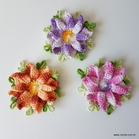 flor-caracol-bicuda-4