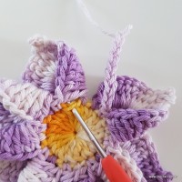 flor-caracol-bicuda-42