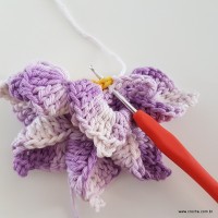 flor-caracol-bicuda-43