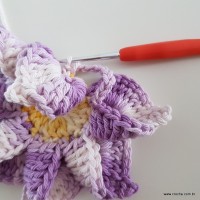 flor-caracol-bicuda-44