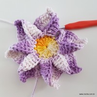 flor-caracol-bicuda-45