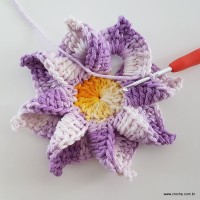 flor-caracol-bicuda-46