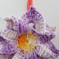 flor-caracol-bicuda-47