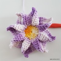 flor-caracol-bicuda-49