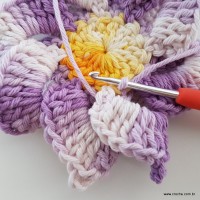 flor-caracol-bicuda-50