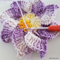 flor-caracol-bicuda-51