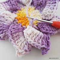 flor-caracol-bicuda-52