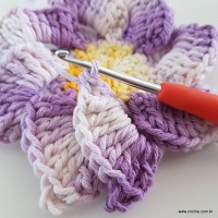 flor-caracol-bicuda-54