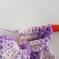 flor-caracol-bicuda-55