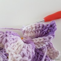 flor-caracol-bicuda-56