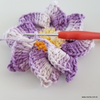 flor-caracol-bicuda-57