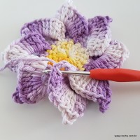 flor-caracol-bicuda-58