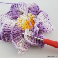 flor-caracol-bicuda-59