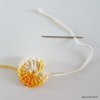 flor-caracol-bicuda-6