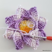 flor-caracol-bicuda-60