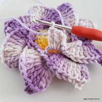 flor-caracol-bicuda-62