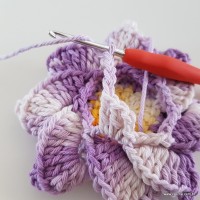 flor-caracol-bicuda-63