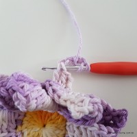 flor-caracol-bicuda-64