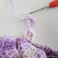 flor-caracol-bicuda-65