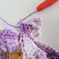 flor-caracol-bicuda-66