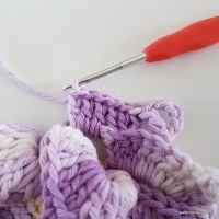 flor-caracol-bicuda-67