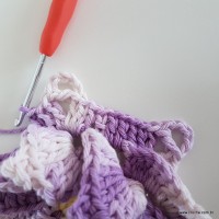 flor-caracol-bicuda-68