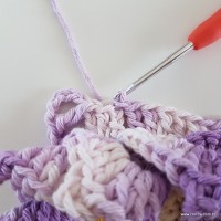 flor-caracol-bicuda-69