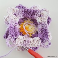 flor-caracol-bicuda-70